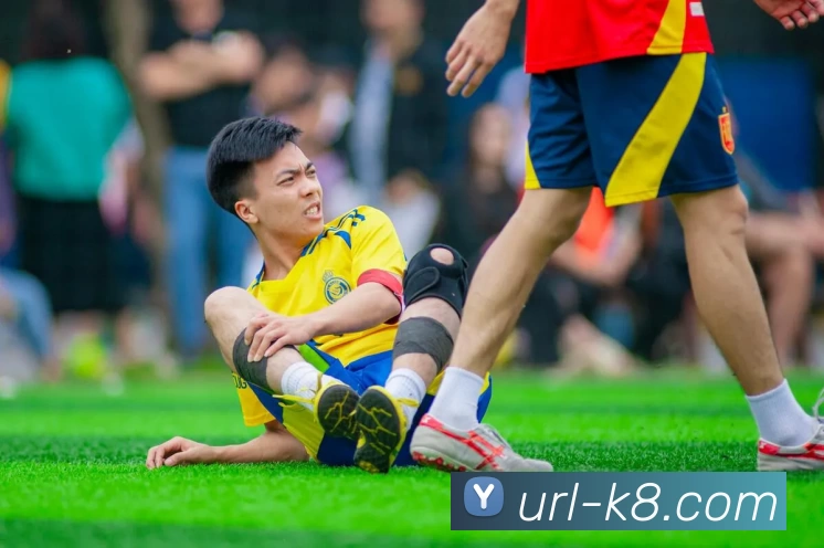 App Interface Preview