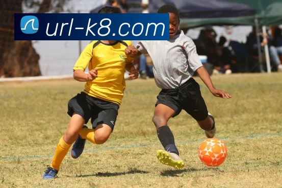 凯发娱乐APP 封面图